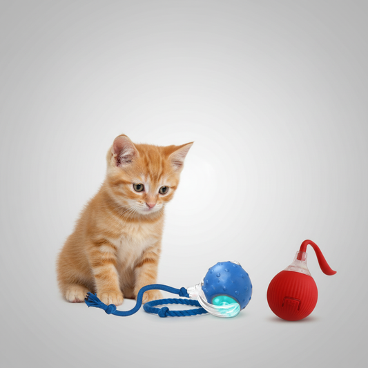 Balle Interactive Roulante pour Chat - Super Motrice