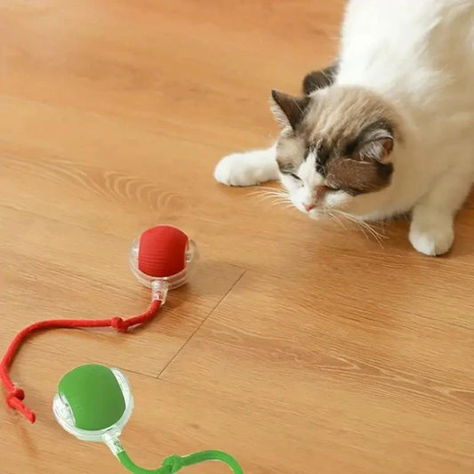 Balle Interactive Roulante pour Chat - Super Motrice
